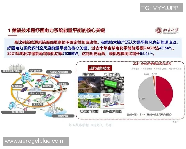 数据分析揭示北京篮球队在赛季中的意识表现与战术执行的深度关系